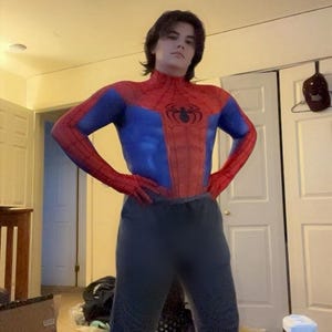 Far from Home Spider Suit Black and Red Costume Detached mask - Adult