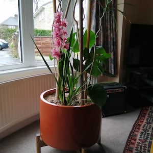 rebecca added a photo of their purchase