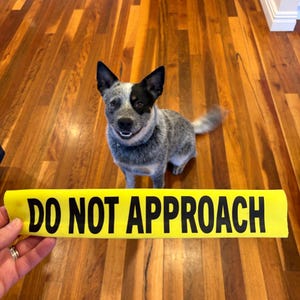 Sarah added a photo of their purchase