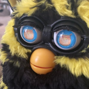 Kooij added a photo of their purchase