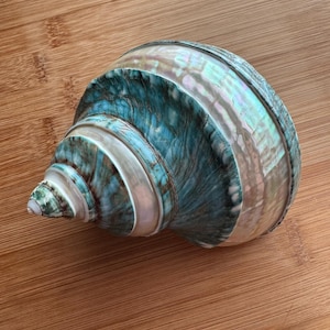 Cordelia added a photo of their purchase