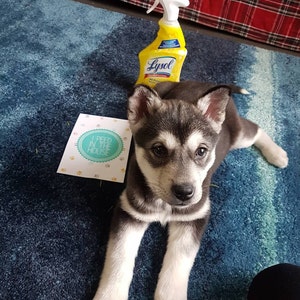 Danny added a photo of their purchase