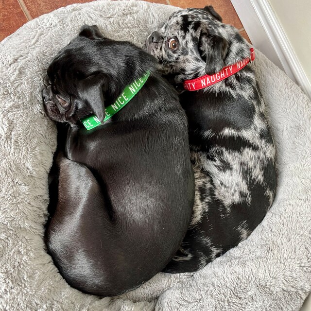 Weihnachts Hundehalsband Mit Karomuster – Rot-grüne Krawatte Für Kleine, Mittlere & Große Hunde