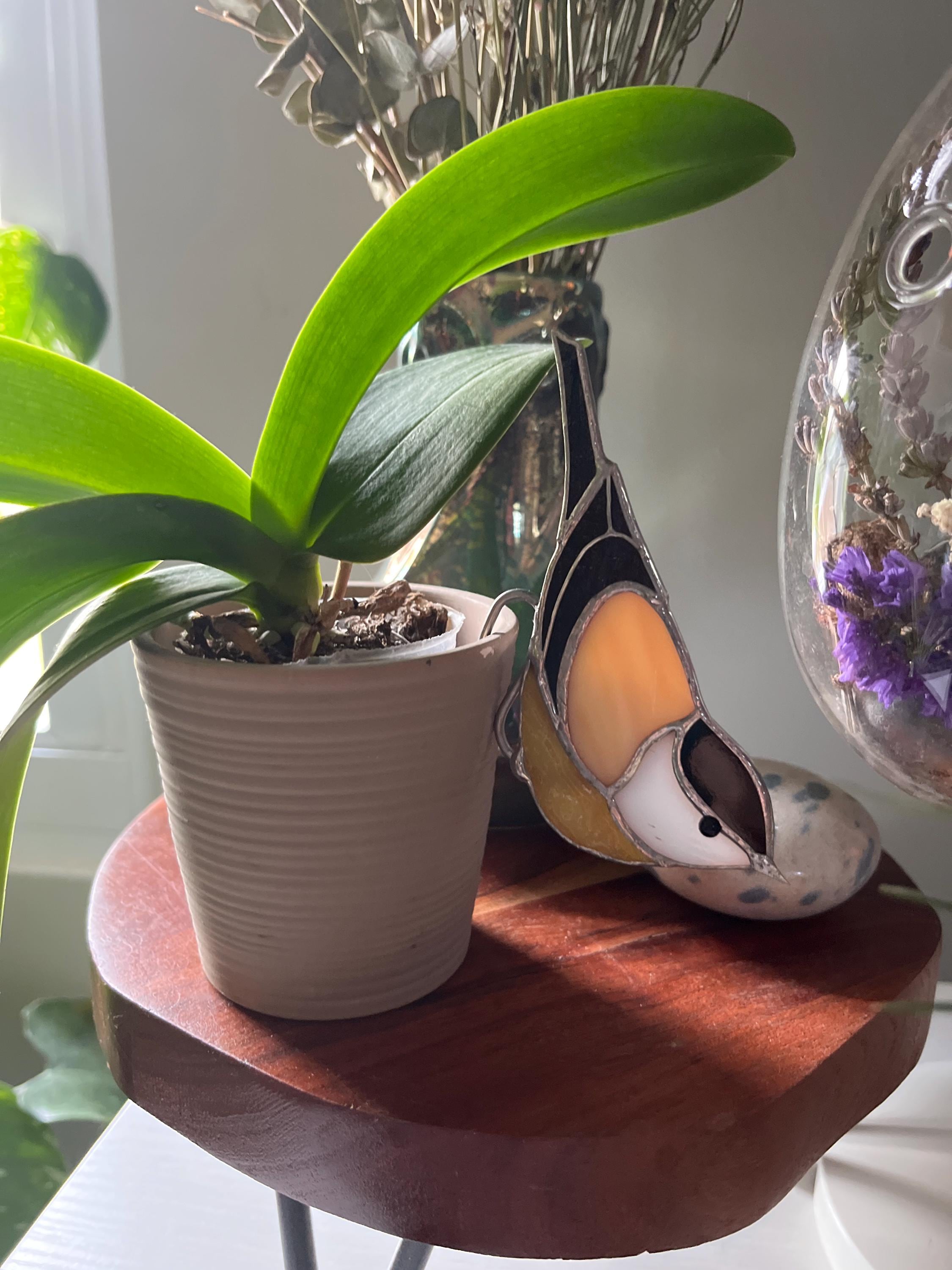 Stained glass Blue Jay Bird Suncatcher Stained glass planter decor 50th birthday gift for women Unique handmade gift Home Plant Dicoretion