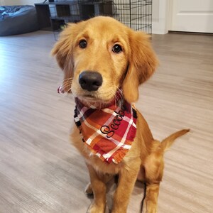 Dog Scarf Plaid Dog Scarf Fall Plaid Scarf Fall Bandana Dog Flannel Dog