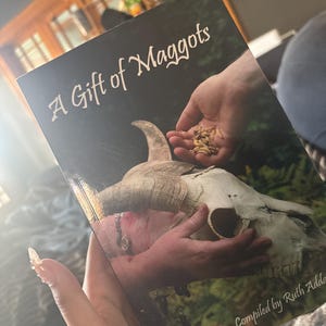 Noelly added a photo of their purchase