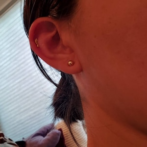 shoyu added a photo of their purchase
