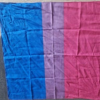 Polysexual Pride Flag Large Premium Quality Poly Flag 5ft X - Etsy UK