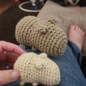 Kimberly added a photo of their purchase