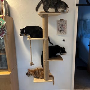 Tricia added a photo of their purchase