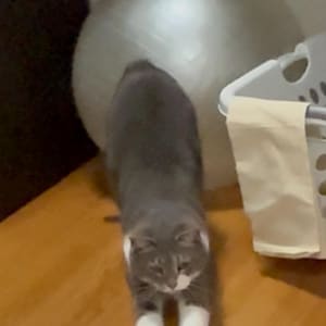 Cheri heeft een foto van de aankoop toegevoegd