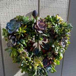 Marcie added a photo of their purchase