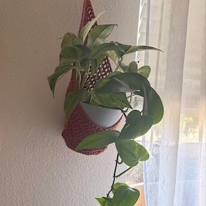 Rachel added a photo of their purchase