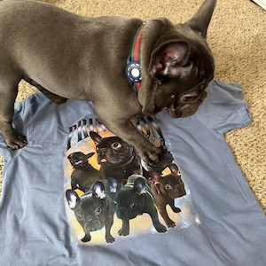 Issa added a photo of their purchase