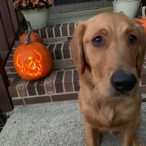 Printable Pumpkin Carving Pattern: Golden Retriever - Etsy
