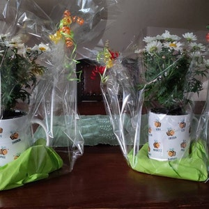 Yvonne added a photo of their purchase