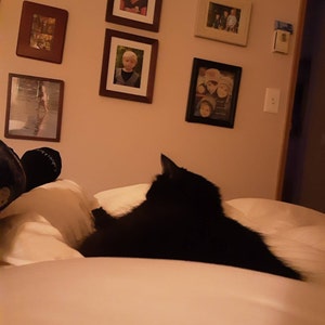 Maggie added a photo of their purchase