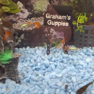 AMY added a photo of their purchase