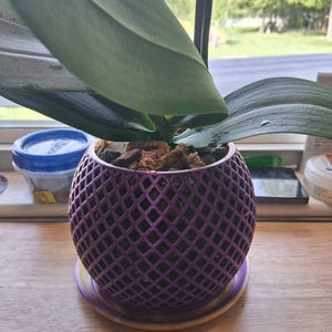 Marty added a photo of their purchase