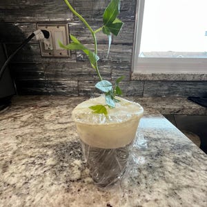 jackie added a photo of their purchase