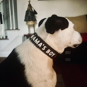 jody added a photo of their purchase