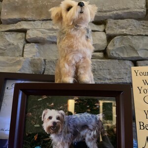 Patricia added a photo of their purchase