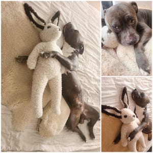 Aj added a photo of their purchase
