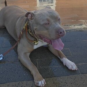 Anna added a photo of their purchase