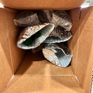 Etta added a photo of their purchase