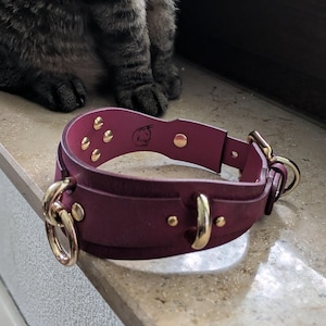 Omar added a photo of their purchase