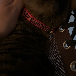 Roxxy added a photo of their purchase
