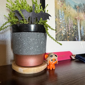 Emilie added a photo of their purchase