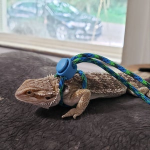 Morgan added a photo of their purchase