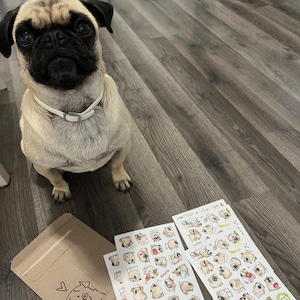 Etsy buyer added a photo of their purchase