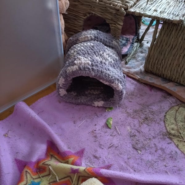 Small Animal Cuddle Tunnel Crochet Pattern for Guinea Pigs, Rats ...