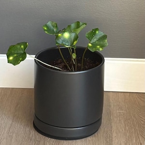 Xavi added a photo of their purchase