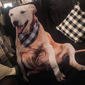 Kari added a photo of their purchase