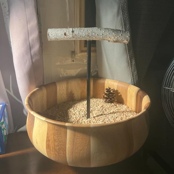 Picture of Textured Wooden Parrot Stand • Modern Parrot Stand • Tabletop Parrot ...