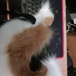 Ty added a photo of their purchase