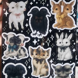 Bruja added a photo of their purchase