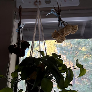 Sara added a photo of their purchase