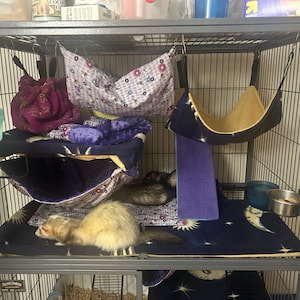 Olivia added a photo of their purchase