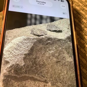 Karon added a photo of their purchase