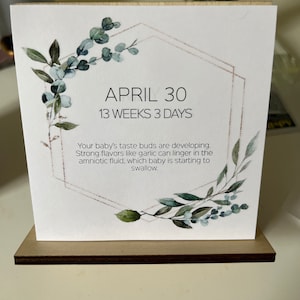Etsy buyer added a photo of their purchase