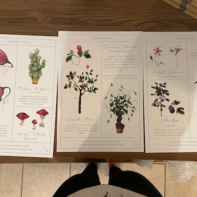 Herbology Chart A3 Print Set - Etsy