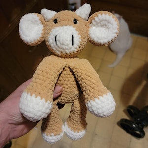 James added a photo of their purchase