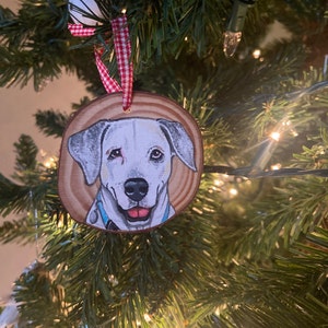 Julia added a photo of their purchase