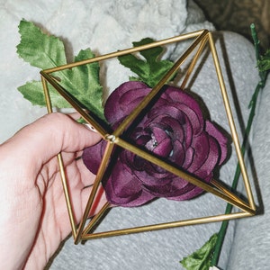 Sarah added a photo of their purchase