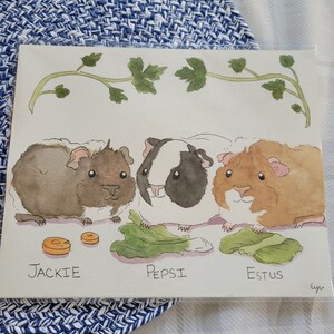 Tim a ajouté une photo de son achat