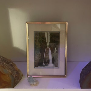 Elizabeth added a photo of their purchase